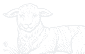 sheep-footer-01